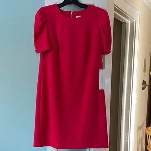 Chic Calvin Klein Raspberry Pink Dress- new